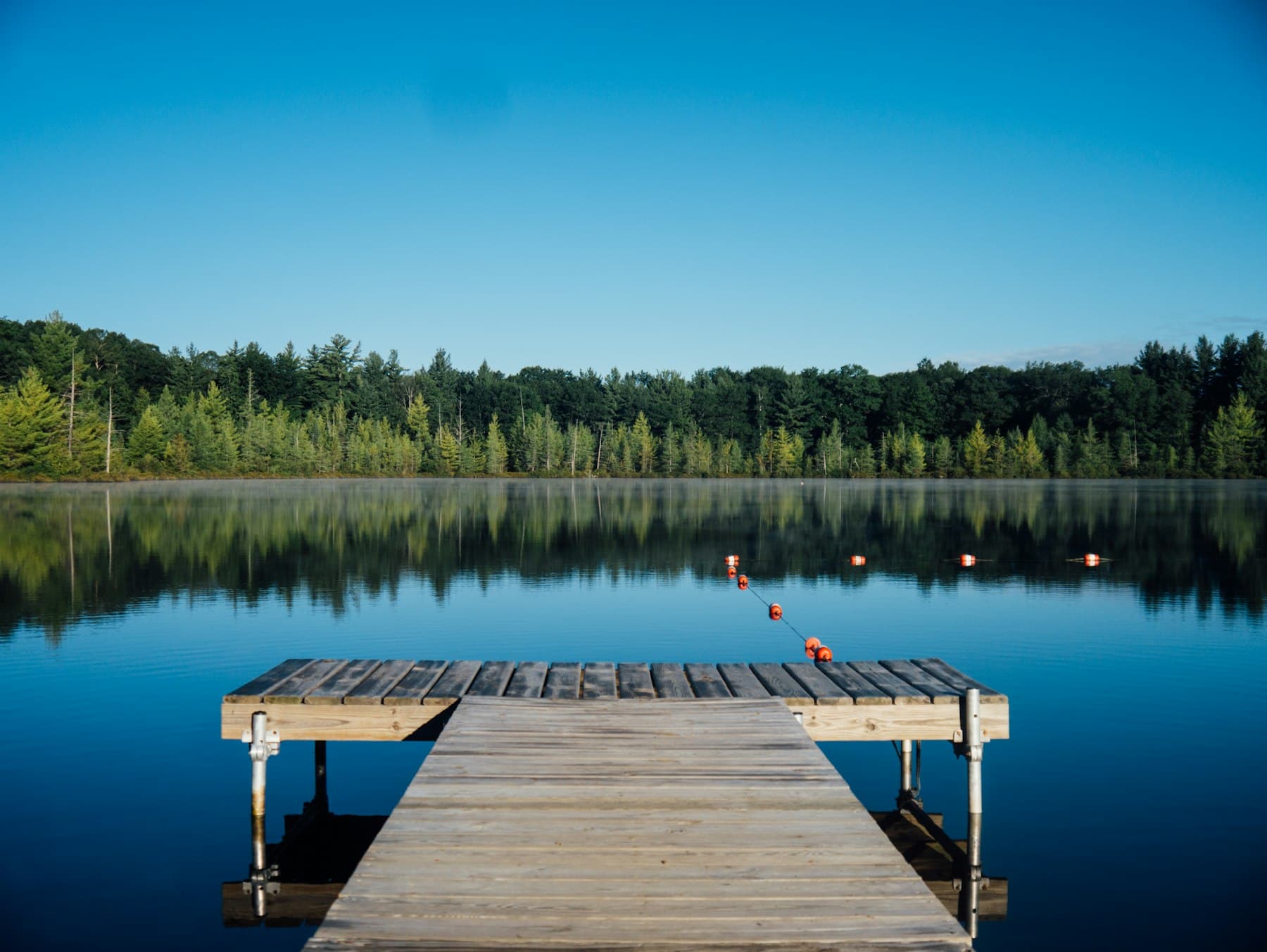 Still lake and treed shoreline at dusk