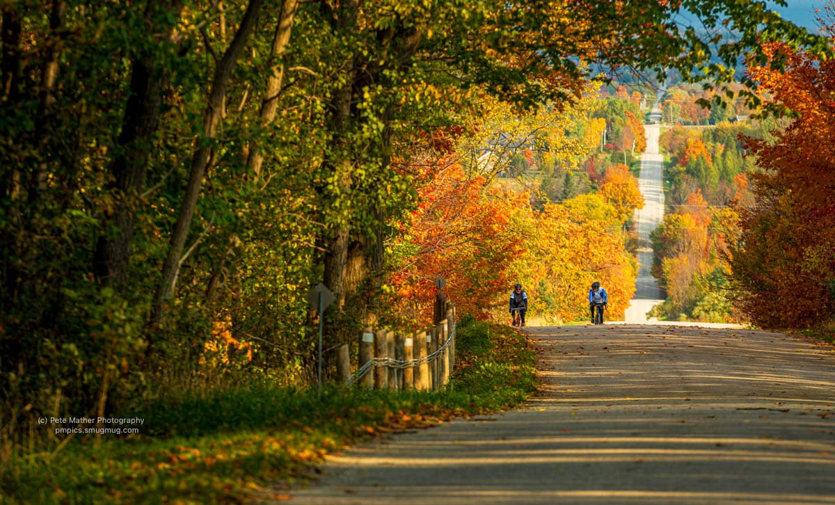Two cyclists on a rolling road surrounded by autumn trees